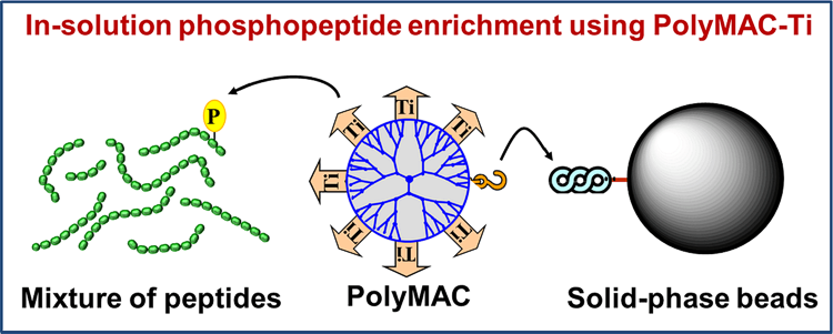 PolyMAC